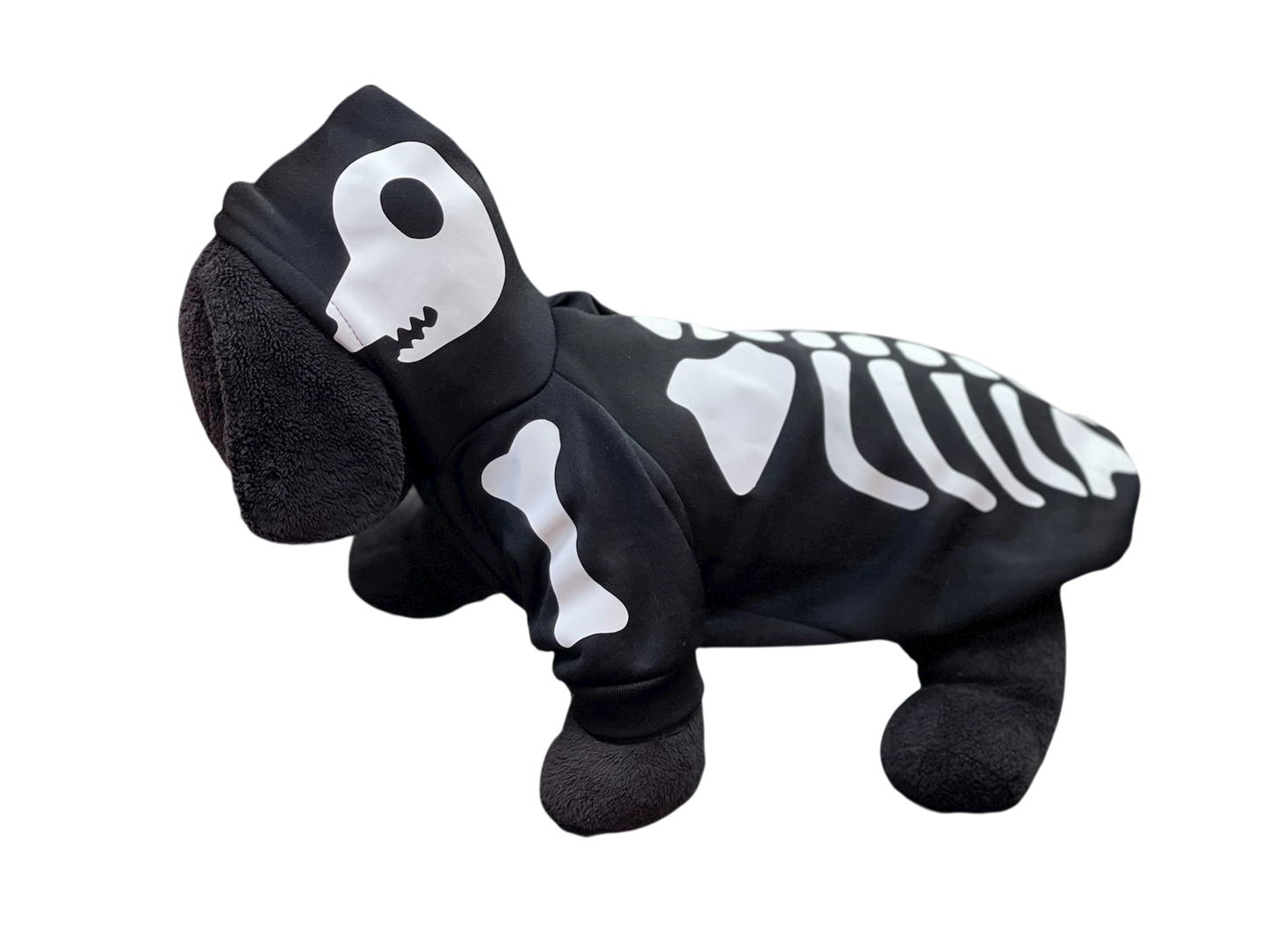 Disfraz para Perro “Calaverita Spooky” 💀🎃
