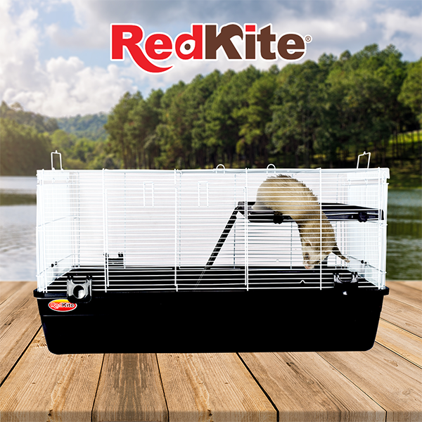 Jaula Amsterdam III P/Huron