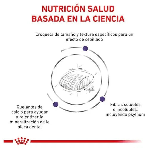 Alimento Royal Canin Para Gato Dental (UNICAMENTE BAJO PEDIDO)