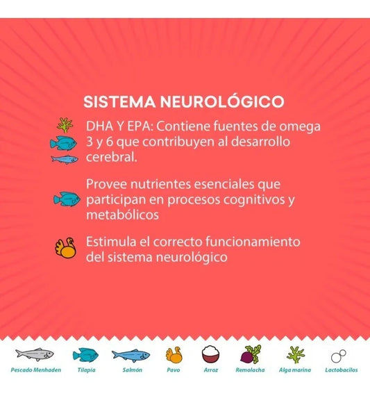 Alimento Kisha Premium Para Gatitos 1.5kg