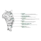 Nupec Alimento Hairball Control Para Gato