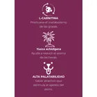 Nupec Alimento Renal Care Para Perro 2kg