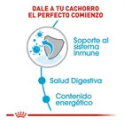 Alimento Royal Canin Para Perro Cachorro Raza Pequeña