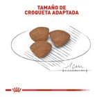 Alimento Royal Canin Para Perro Cachorro Raza Pequeña