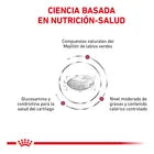 Alimento Royal Canin Advanced Mobility Canine