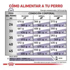 Alimento Royal Canin Mature Consult Large Dog 13kg (Bajo pedido)