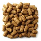 Alimento Mazuri Para Tortuga Terrestre 600g