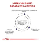 Alimento Royal Canin Mature Consult Large Dog 13kg (Bajo pedido)