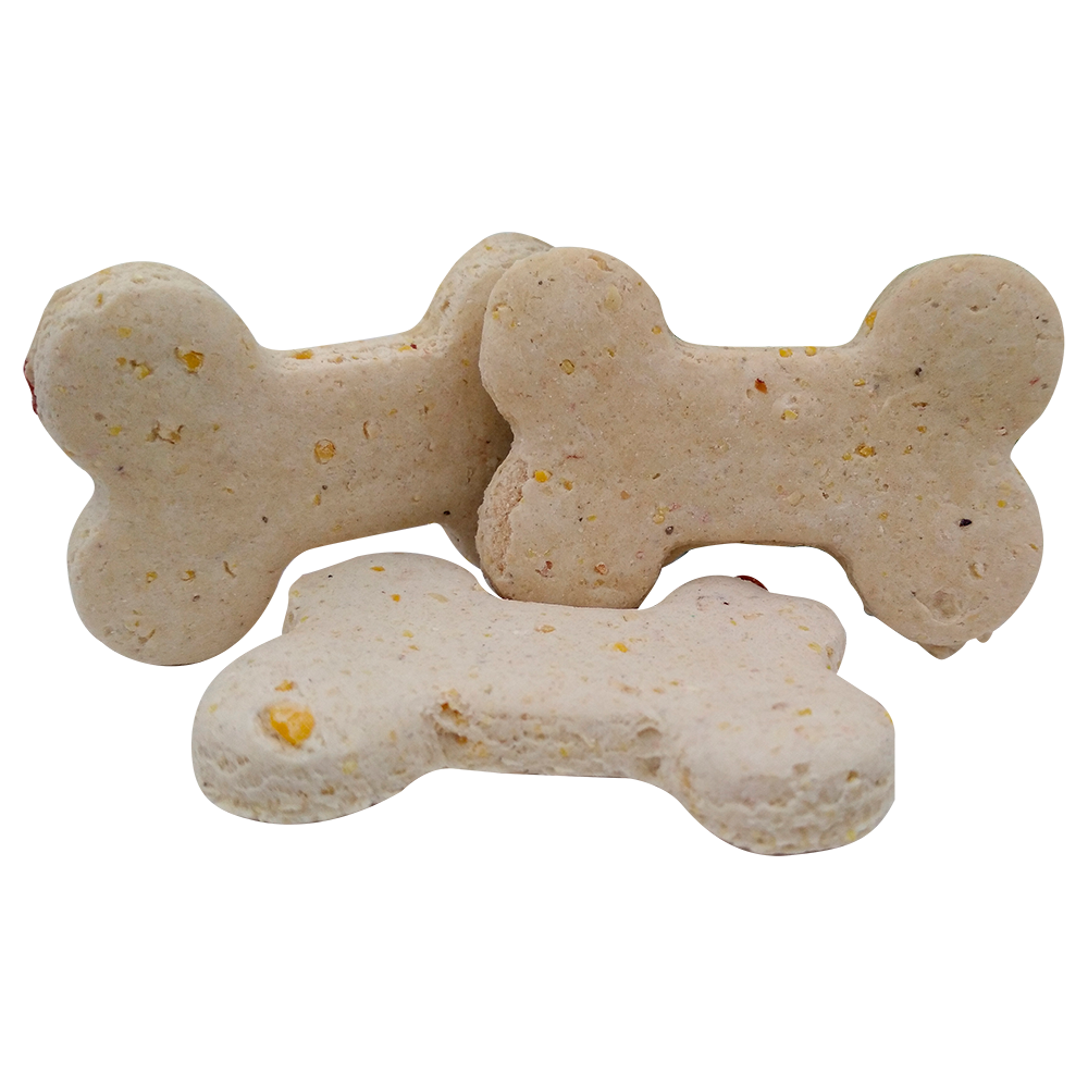 Galletas Canino Bits Sabor Frutos Secos