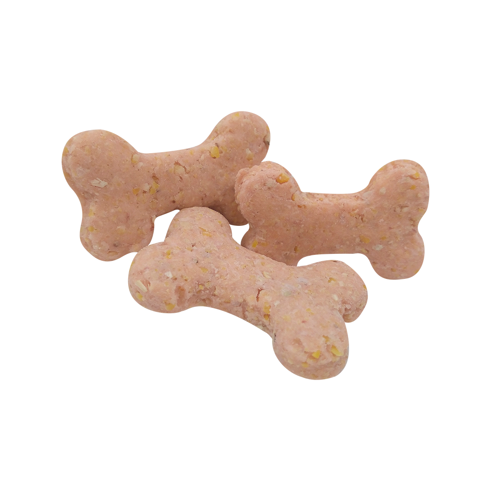 Galletas Canino Bits Sabor Hueso Tocino