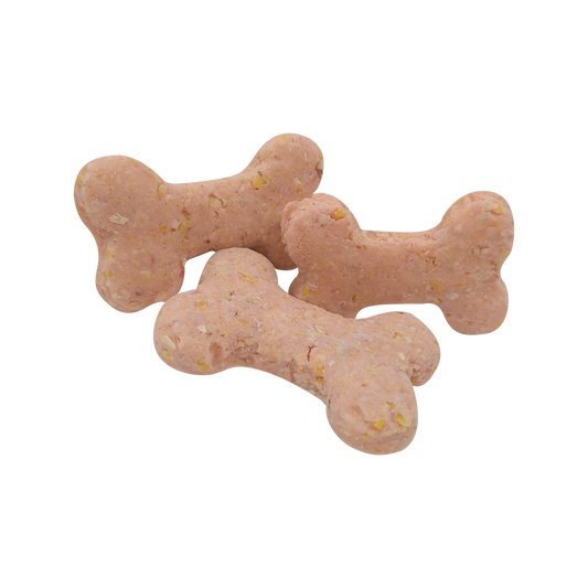 Galletas Canino Bits Sabor Hueso Tocino