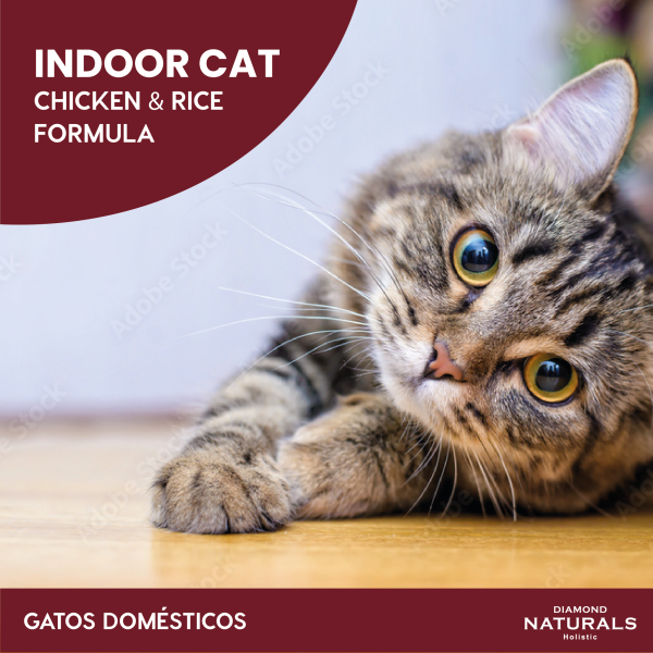 Alimento Diamond Naturals Indoor Para Gato (Bajo pedido)