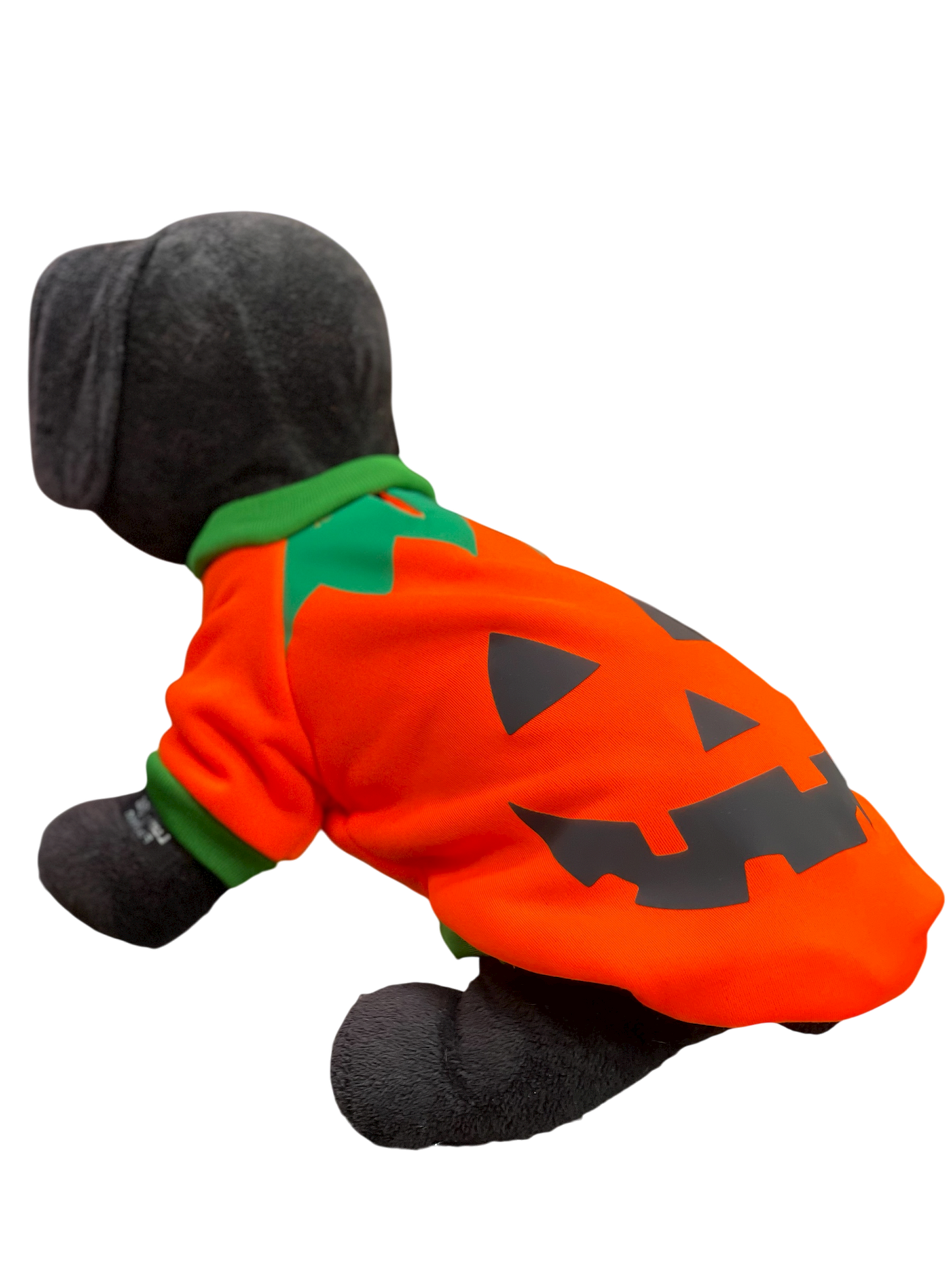 Disfraz para Perro “Calabacita Encantada” 🎃🐾