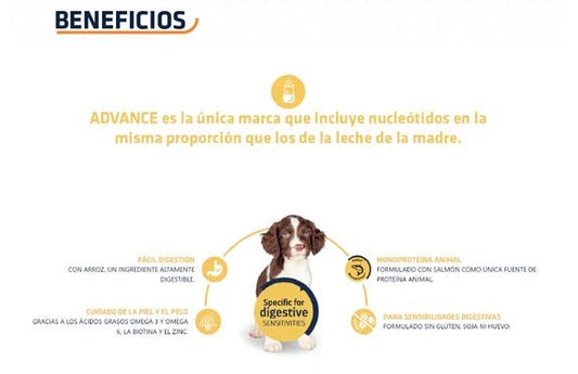 Advance Alimento Cachorro Sensitive