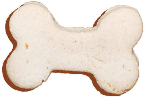 Galletas Canino Bits Sabor Frutos Secos