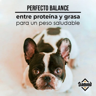 Alimento Diamond Mantenimiento Adulto Para Perro (UNICAMENTE BAJO PEDIDO)