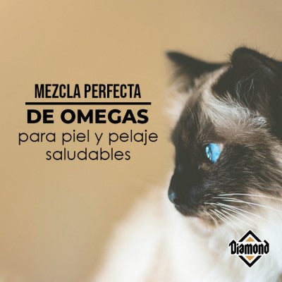 Alimento Diamond Premium Mantenimiento Para Gato (Bajo pedido)