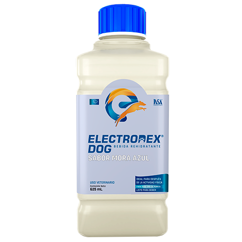Electrodex Dog Sabor Mora Azul Para Perro 625 ml