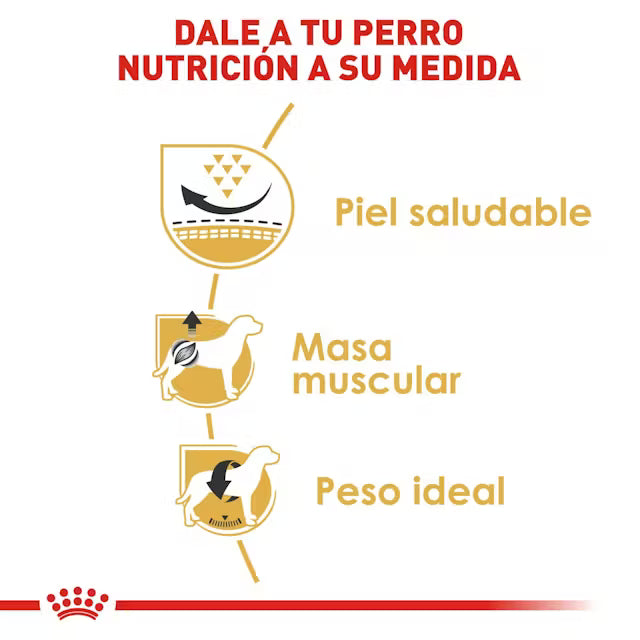 Alimento Royal Canin BHN Pug Adulto (Bajo pedido)
