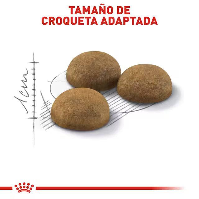 Alimento Seco para Gato Adulto de Interior 3.1 kg