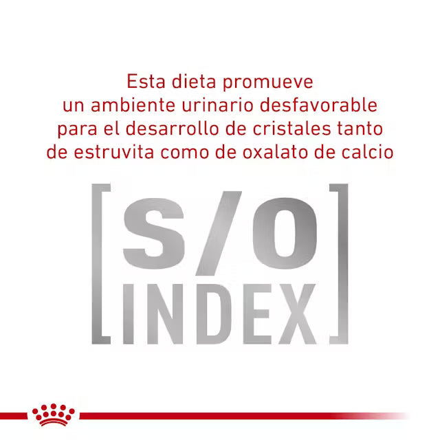 Alimento Royal Canin Glycobalance Para Gato 2kg (Bajo pedido)