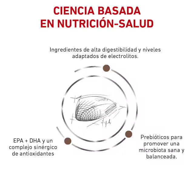 Alimento Royal Canin Gastrointestinal Para Gato 4kg