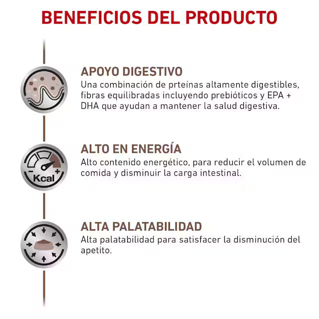 Alimento Royal Canin Gastrointestinal Para Gato 4kg