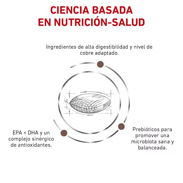 Alimento Royal Canin Hepatic Para Perro