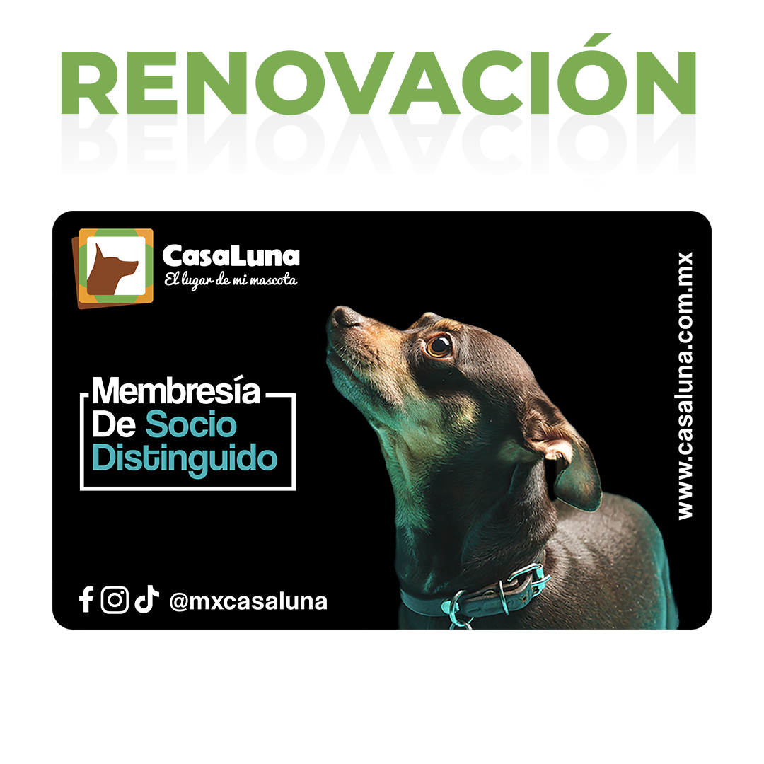 Renovación de Membresía Casa Luna