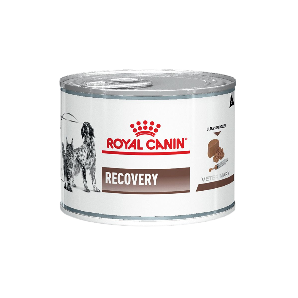 Alimento Royal Canin Recovery Para Perro y Gato Lata 145g