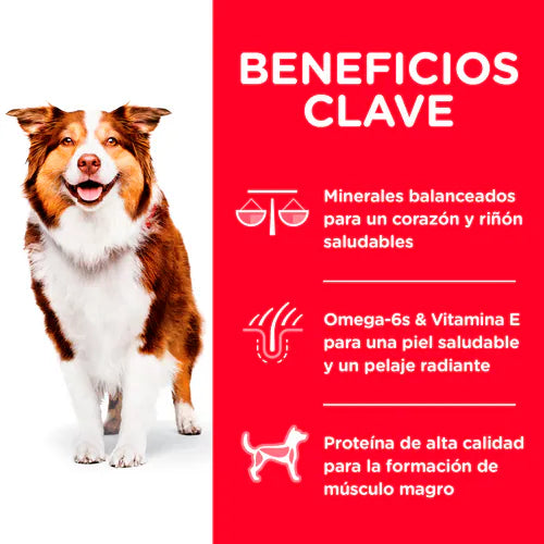 Alimento Hill's Science Diet Adulto 7+ Senior Para Perro 12kg (Bajo pedido)