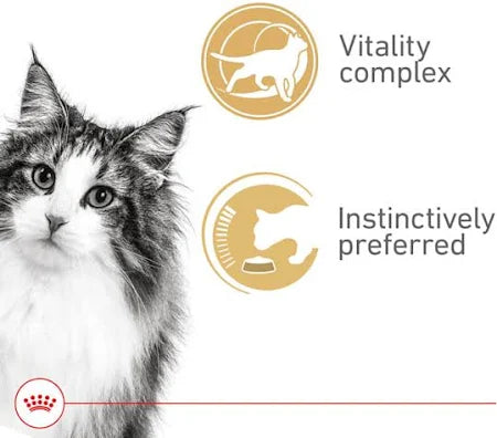 Alimento Húmedo para Gato Adulto Instinctive 7+ 85 g