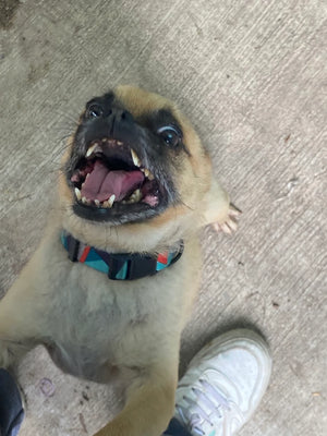 Foto de Liliana González