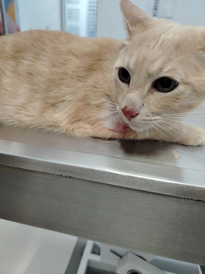 Foto de Carolina Acosta