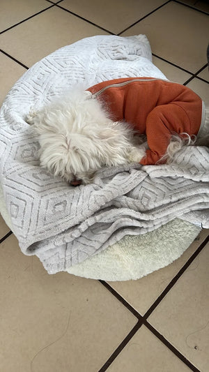 Foto de Gabriela Hernandez