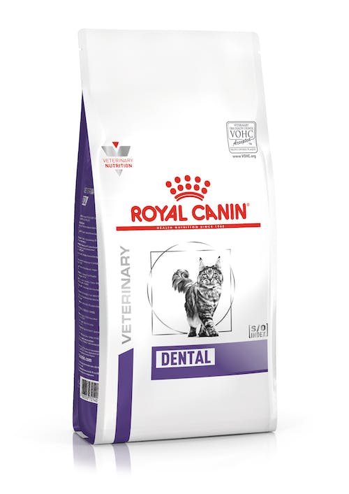 Alimento Royal Canin Para Gato Dental (UNICAMENTE BAJO PEDIDO)